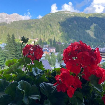 Hotel Dahu Мадонна-ди-Кампильо Экстерьер фото